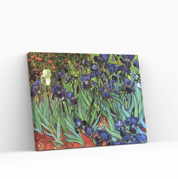 Best Pause Irissen Vincent van Gogh 40x50 cm - DIY Hobby Pakket