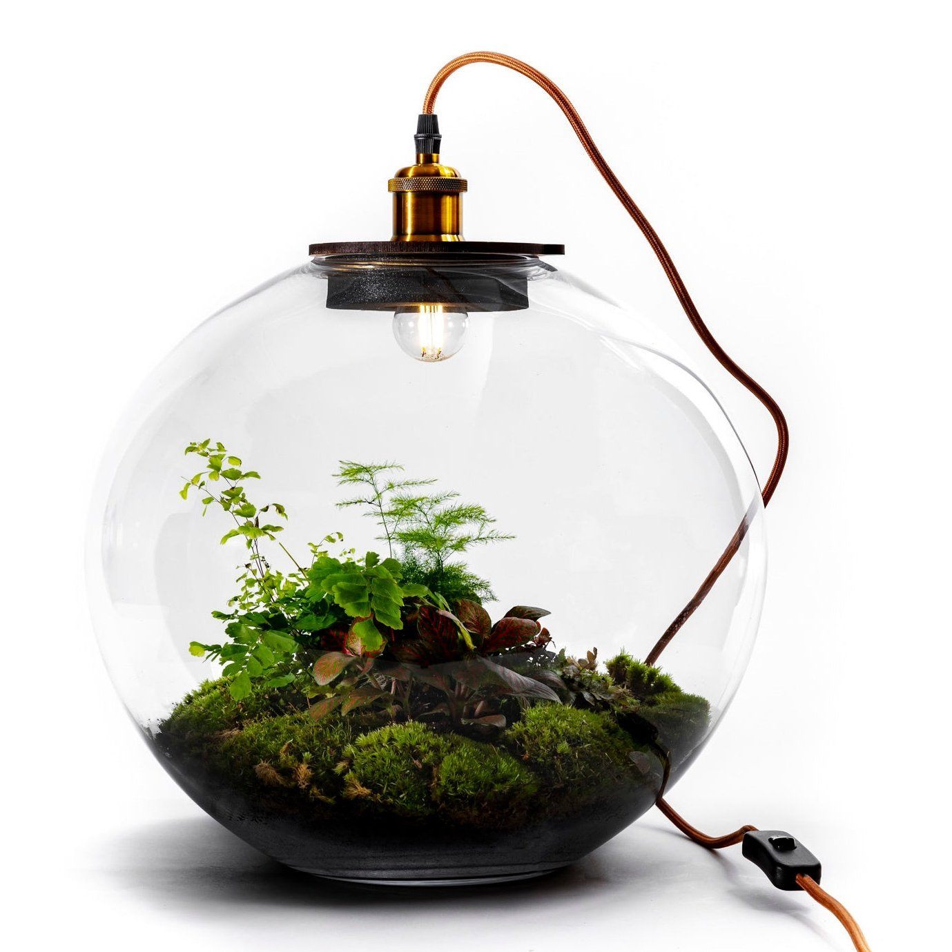 Growing Concepts DIY Duurzaam Ecosysteem Demeter lamp - H38xØ37cm