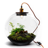 Growing Concepts DIY nachhaltiges Ökosystem Demeter-Lampe - H38xØ37cm