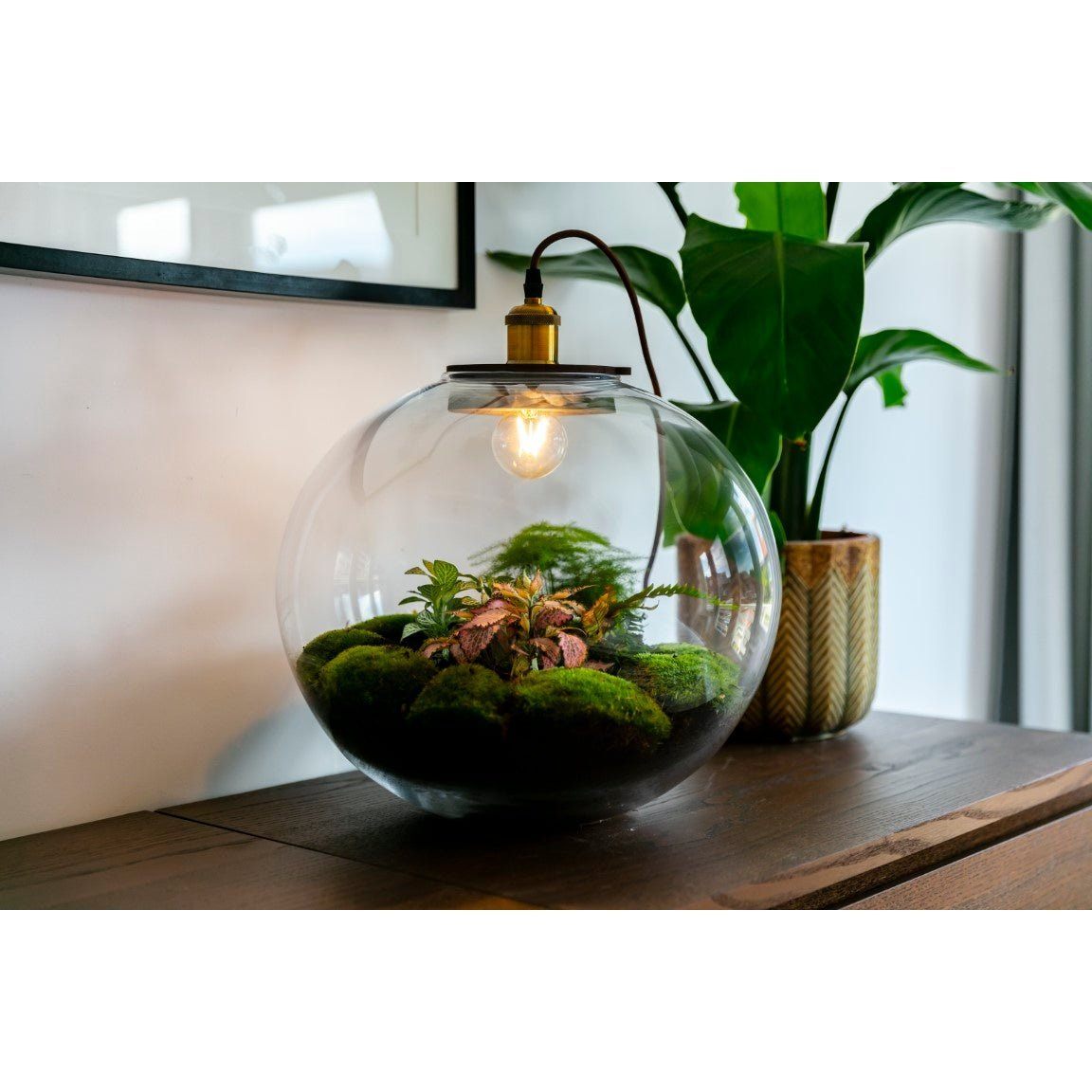 Growing Concepts DIY Duurzaam Ecosysteem Demeter lamp - H38xØ37cm