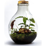 Growing Concepts DIY Duurzaam Ecosysteem EcoCork XL Botanische Mix - H47xØ32cm