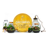 Growing Concepts DIY Duurzaam Ecosysteem Egg Large Asparagus - H30xØ18cm
