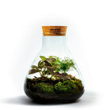 Growing Concepts DIY Duurzaam Ecosysteem Erlenmeyer met Kurk Medium Botanische Mix - H26xØ22cm