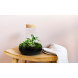 Growing Concepts DIY Duurzaam Ecosysteem Erlenmeyer met Kurk Medium Botanische Mix - H26xØ22cm