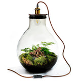 Growing Concepts DIY Sustainable Ecosystem Giants Ecolight XL - 20 Liter - Botanische Mischung - H42xØ40cm