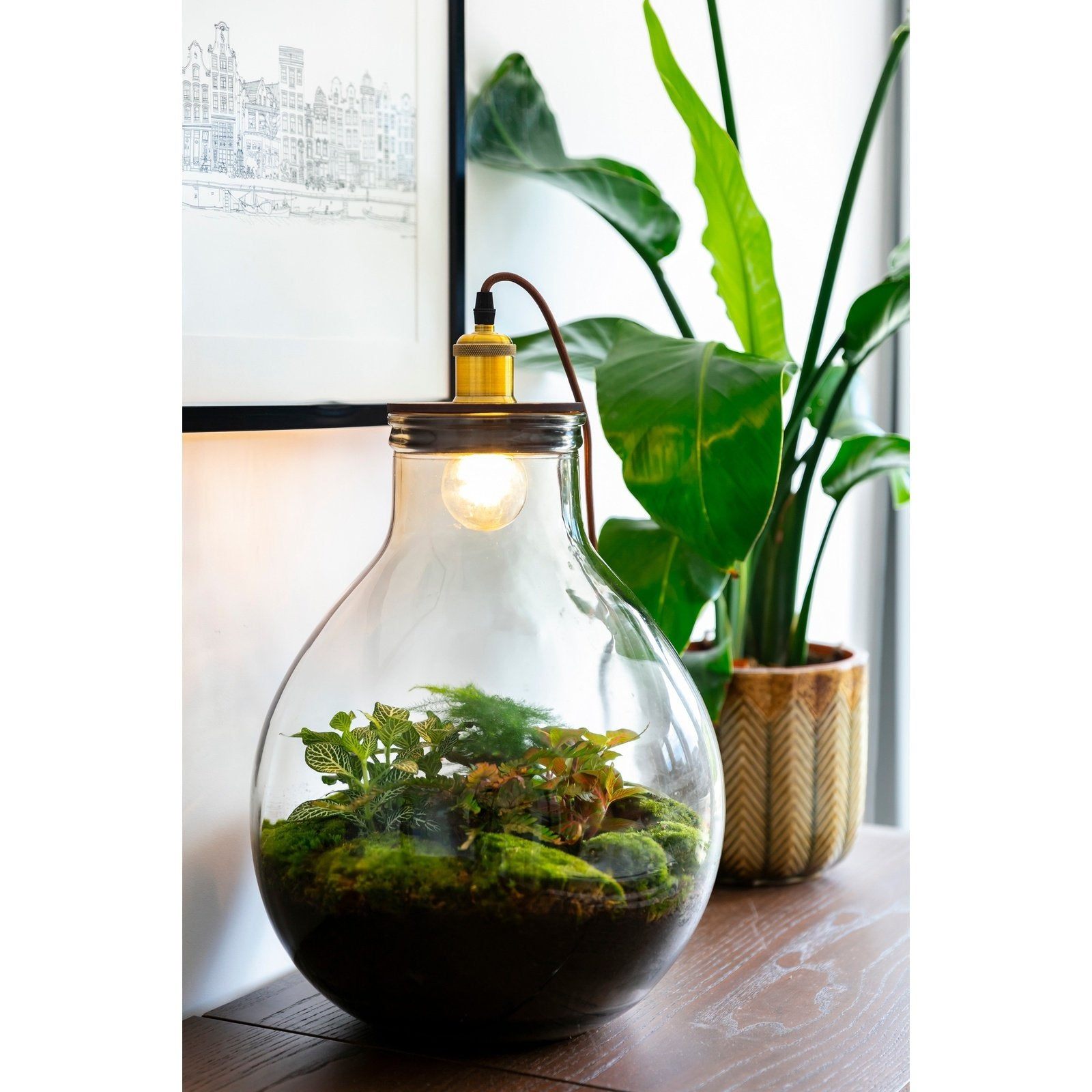 Growing Concepts DIY Duurzaam Ecosysteem Giants Ecolight XL 20 Liter Botanische Mix - H42xØ40cm