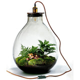 Growing Concepts DIY Sustainable Ecosystem Giants Ecolight XXXL – 34 Liter – Botanische Mischung – H52xØ48cm