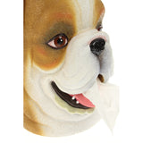 Rotary Hero Bulldog Tissue box Houder
