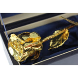 United Entertainment Gouden Roos in Luxe lederen doos
