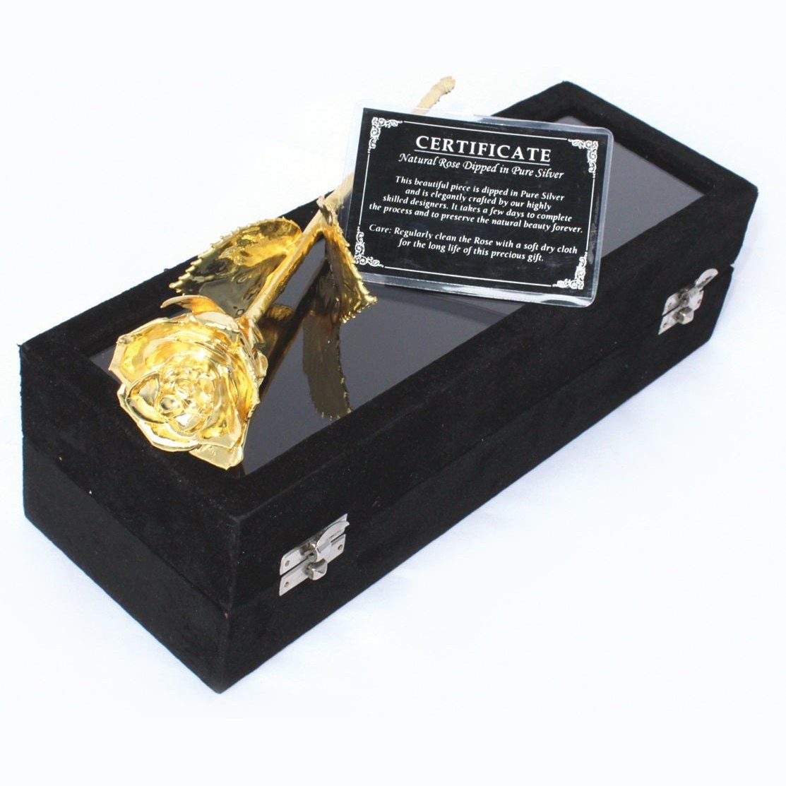 United Entertainment Gouden Roos in Zwartfluwelen doos